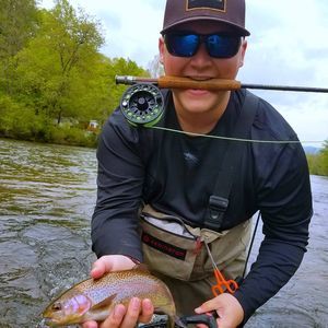 Meet your Posher, Nick